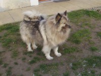 /album/z-novych-domovu/artem-jpg/