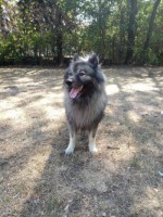 /album/z-novych-domovu/a45671239-2336606816367964-6036431373223329792-n-jpg/