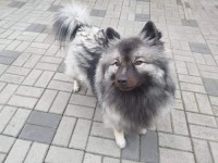 /album/z-novych-domovu/carol-jpg/