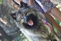 /album/z-novych-domovu/cor-jpg/