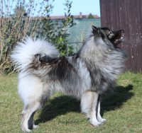 /album/z-novych-domovu/img-8024-jpg/