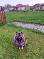 /album/z-novych-domovu/321966124-886123459243460-2610872017034851966-n-jpg/