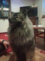 /album/z-novych-domovu/322965720-1167845797195420-5123220846507386242-n-jpg/