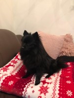 /album/z-novych-domovu/323880043-1316044992298451-5092571184087870631-n-jpg/