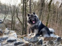 /album/z-novych-domovu/327158171-720085792953151-1125455672868811062-n-jpg/