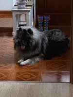 /album/z-novych-domovu/324015242-1116978825656990-521270880193751180-n-jpg/