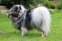 /album/z-novych-domovu/img-2396-jpg/